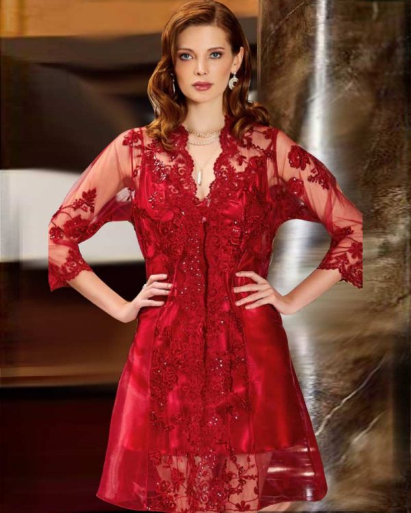 Red Satin Lace and Tulle Nightdress Set
