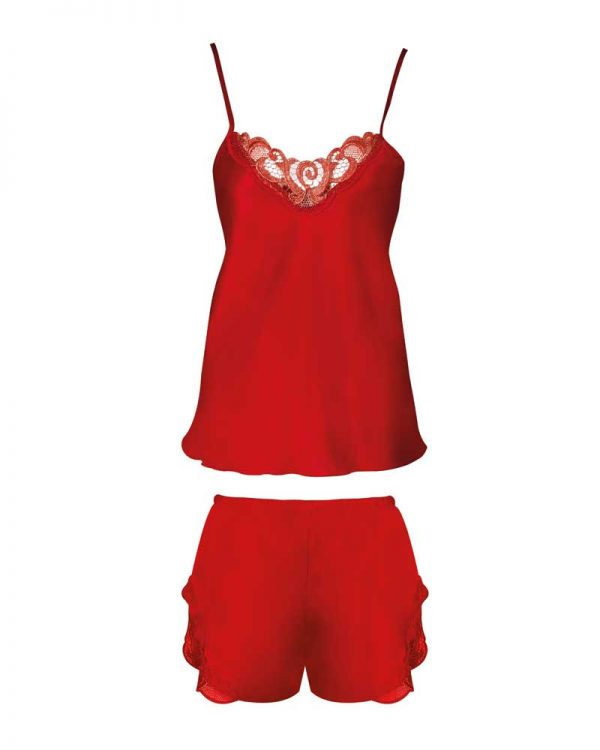Cute Satin and Lace Cami Set